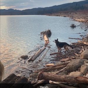 Meet your Posher, Ariane